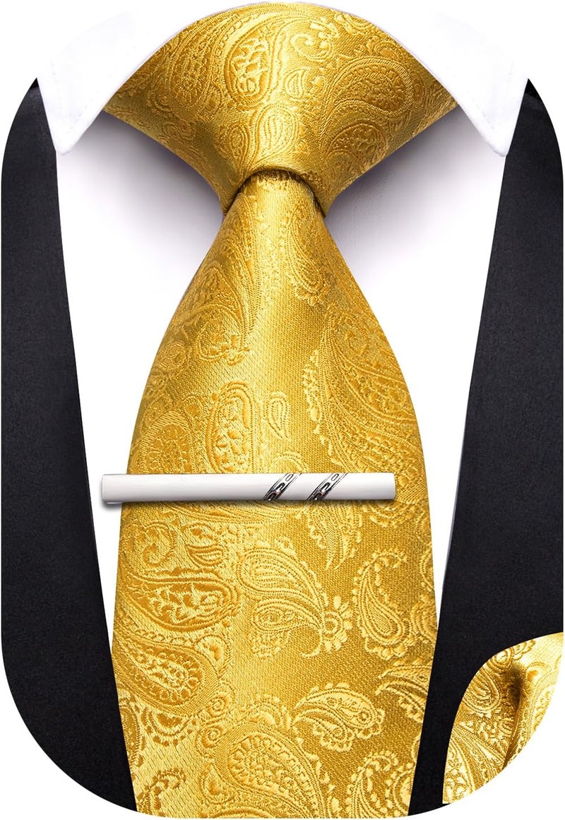 Barry.Wang Store Boys Ties School Pre-Tied Kids Necktie Handkerchief Clip Set Uniforms Child Ties for 8-14 Years Wedding Party - Image 1